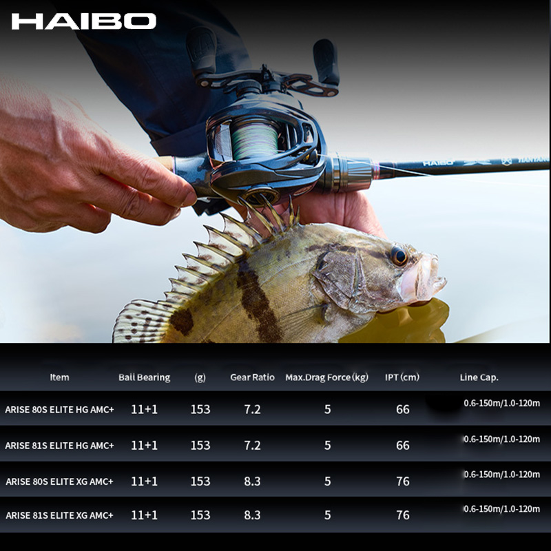 Carrete de fundición de élite  - Abu Garcia Reel Max reseña y precio